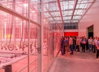 RZNL251209_099_Opening-Hybride-II